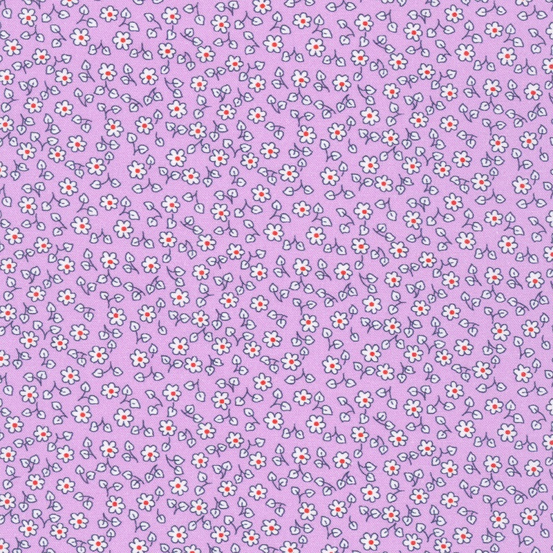 Flowerhouse: Little Blossoms Pansy FLHD-21888-220