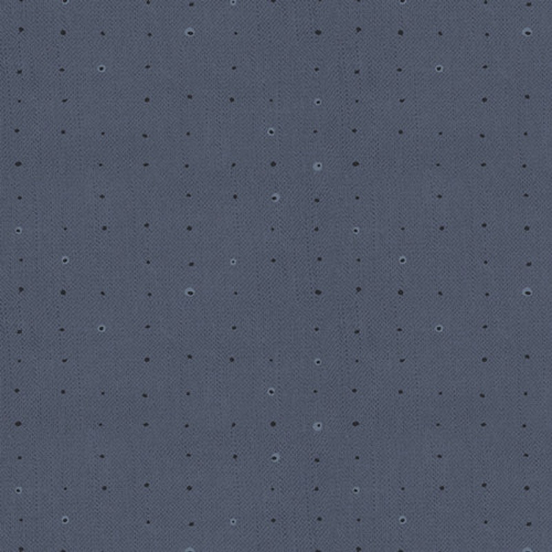 Seedling Denim SDL 20108