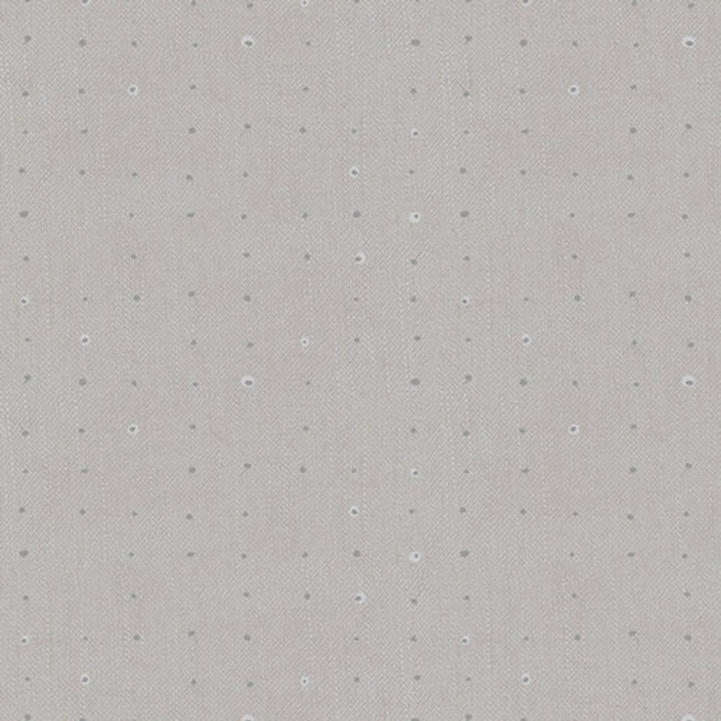 Seedling Dove SDL 20101