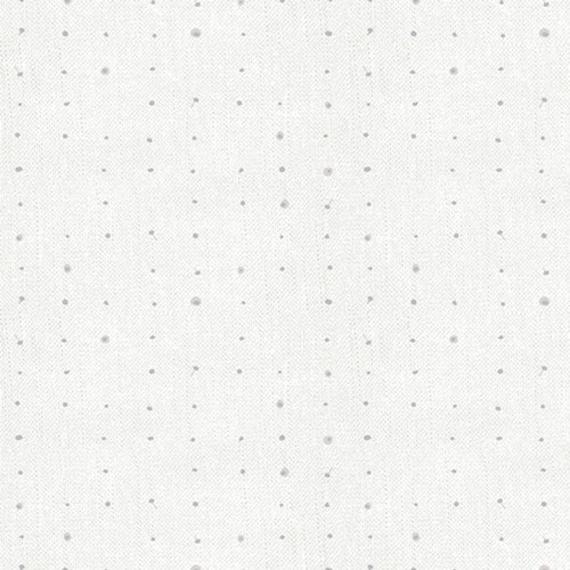 Seedling Longan SDL 20100