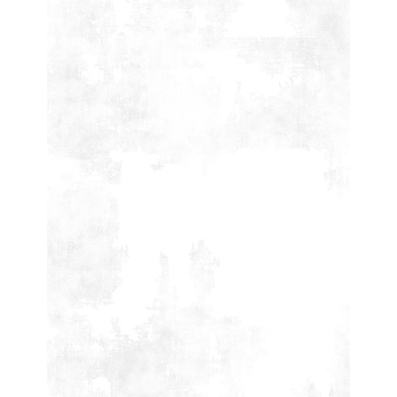 Dry Brush White on White 89205-100