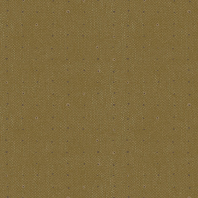 Seedling Olive SDL20113