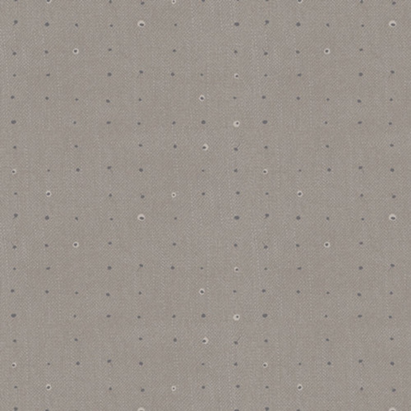 Seedling Shiitake SDL20116