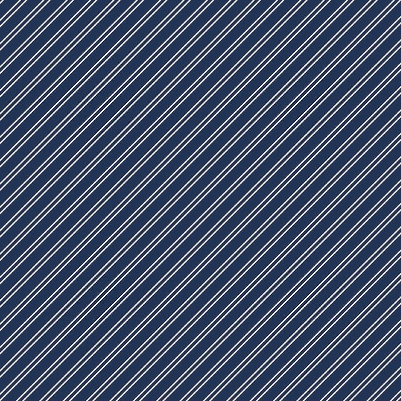 Between The Pages Diagonal Stripe Navy C15374N