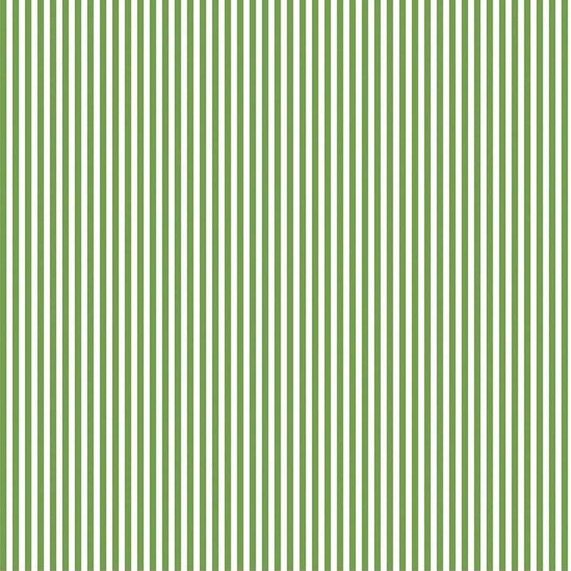 Eighth Inch Stripe Clover C495C