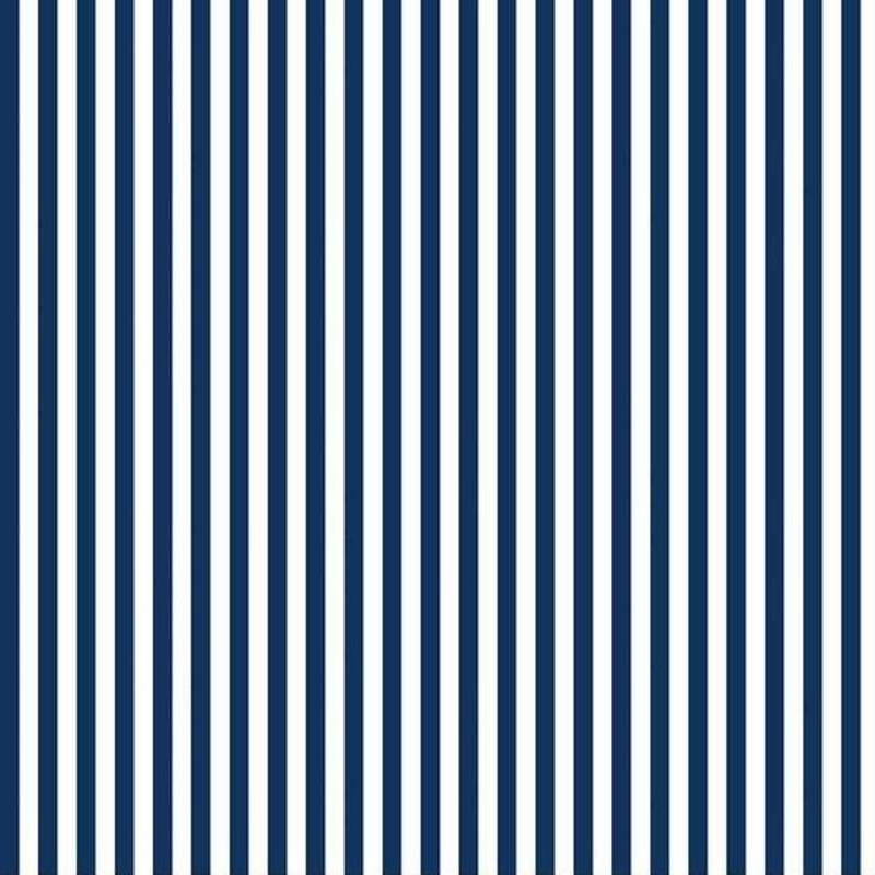 Quarter Inch Stripe Navy C555N