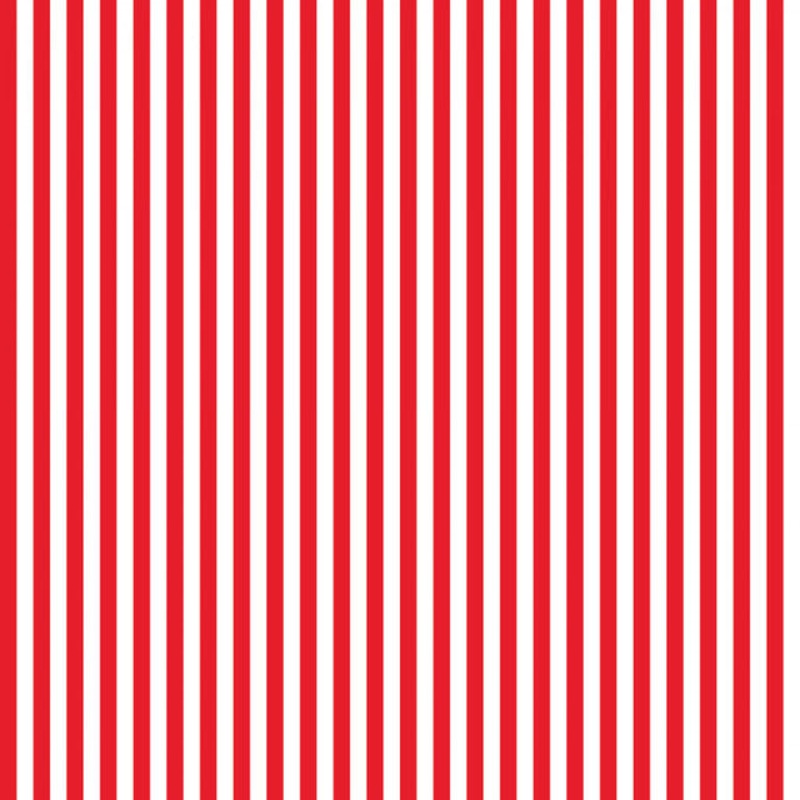 Quarter Inch Stripe Red C555R