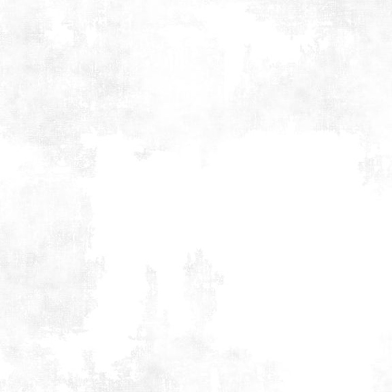 Wilmington Prints Dry Brush White on White 89205-100 - 3 YARD CUT