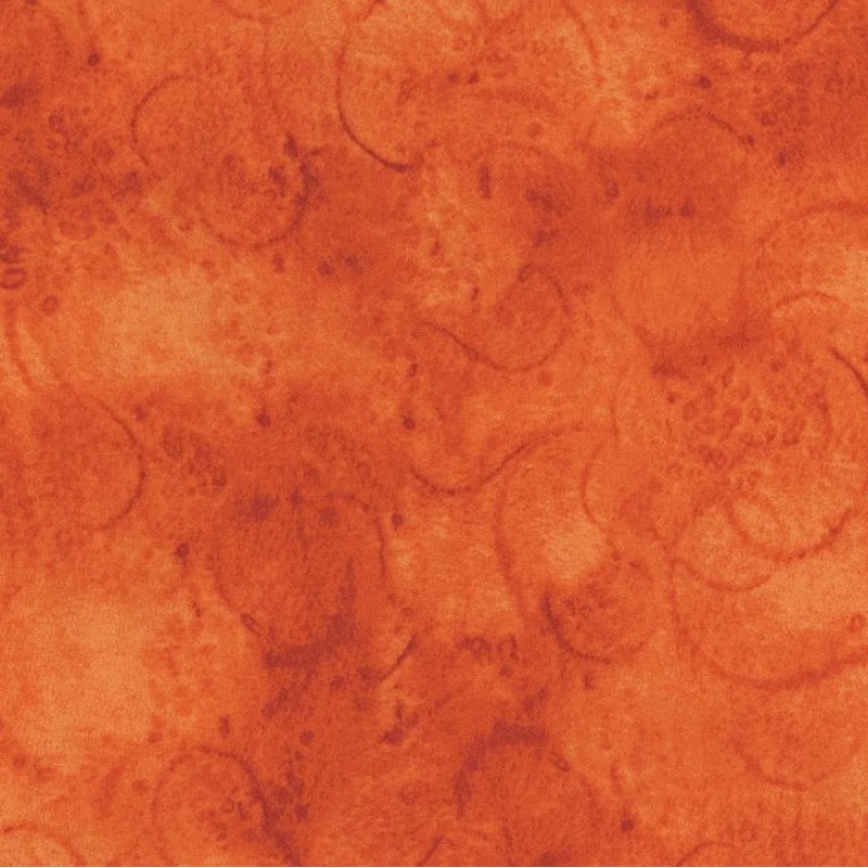 Watercolor Swirls Pumpkin C680 CC