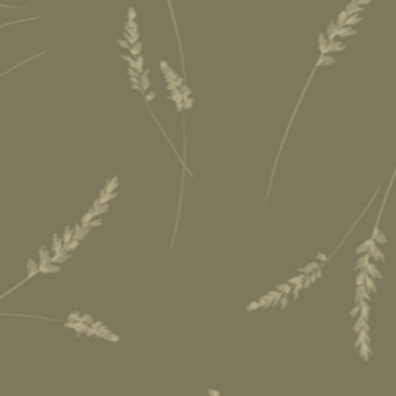 Whispering Grasslands Delicate Stems Sage 58240304-02