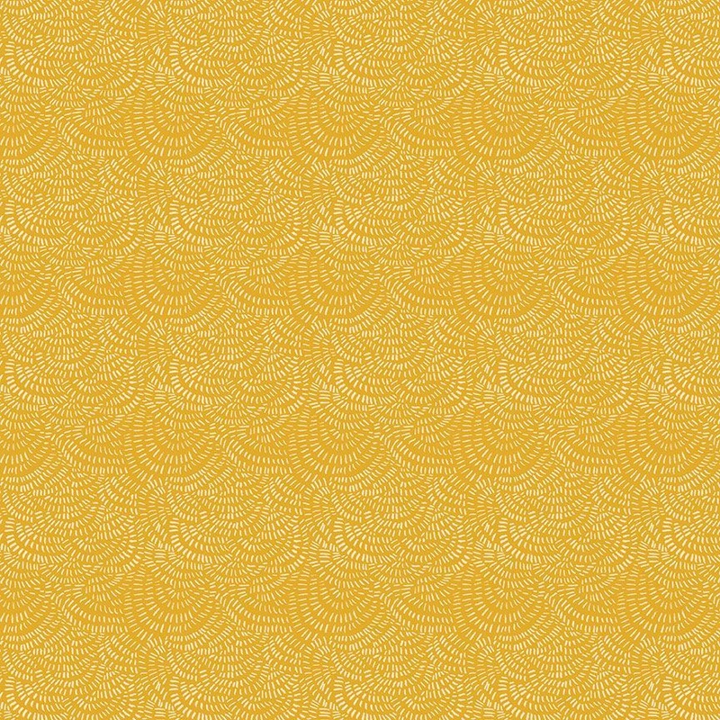 Crimp Mimosa DRR2293