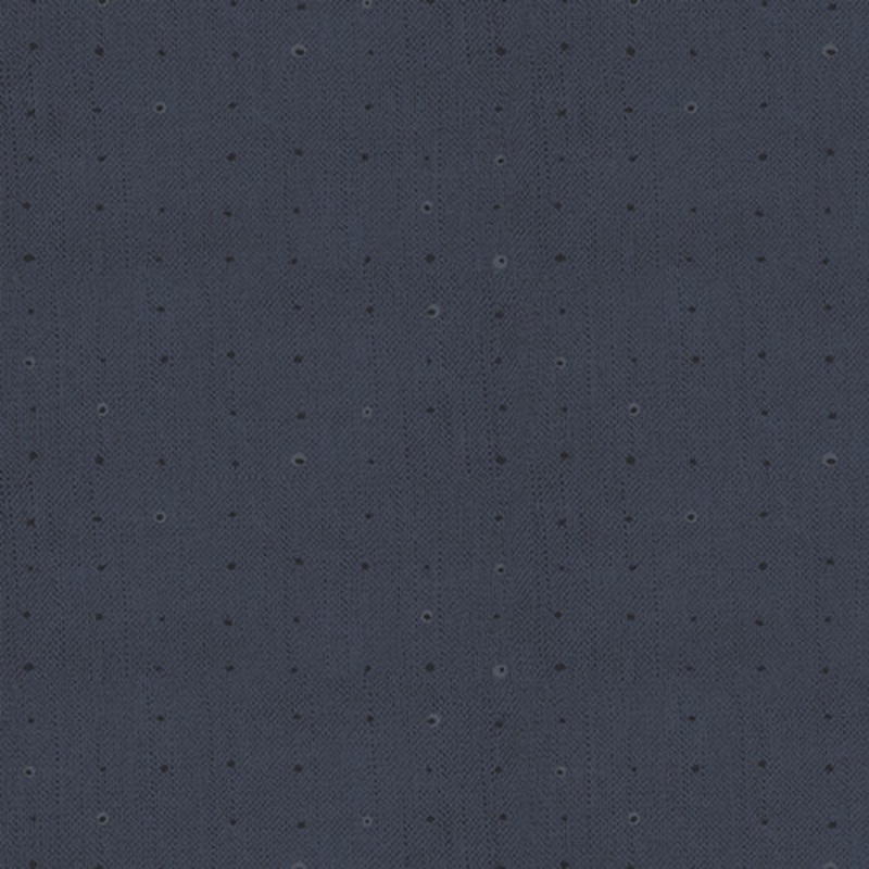 AGF Seedling Blueberry SDL-20107 - 3 YARD