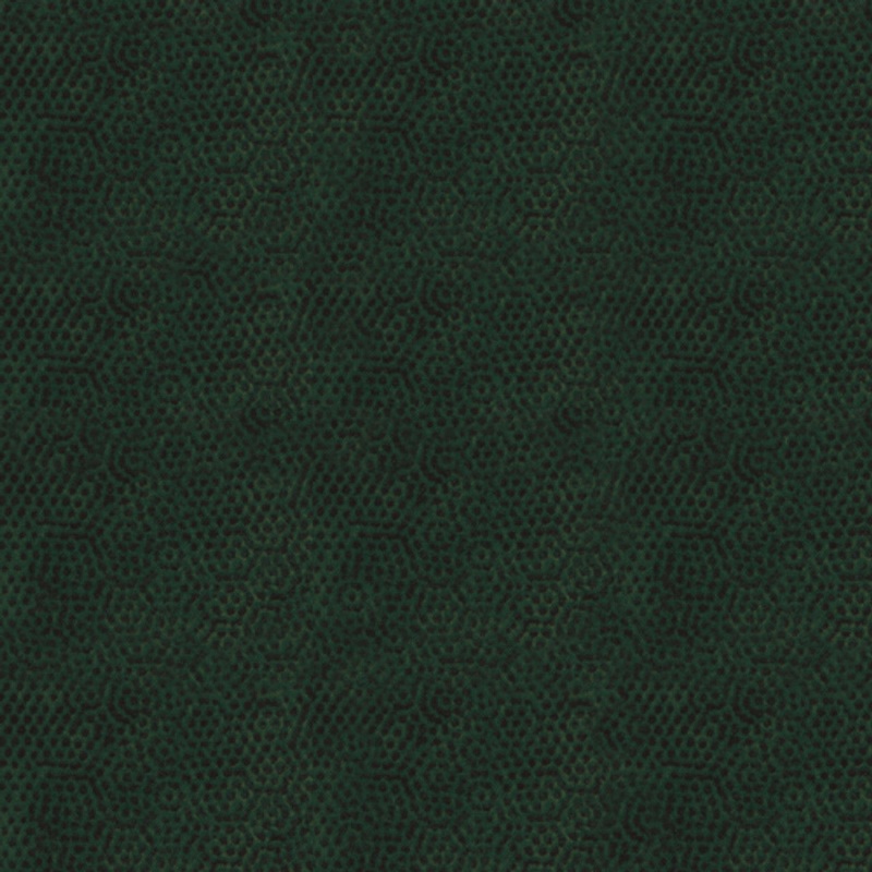 Dimples Hunter 1867 H CC