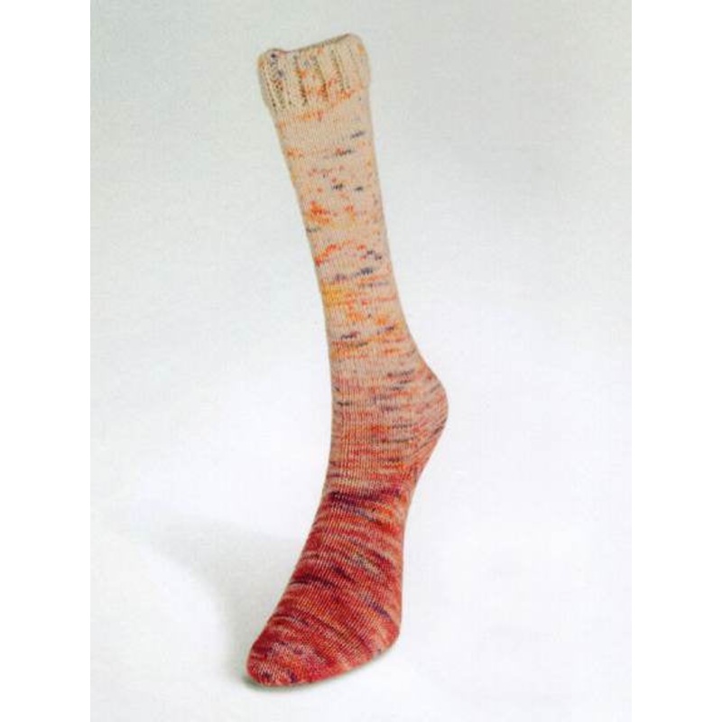 Laines du Nord Paint Gradient Sock