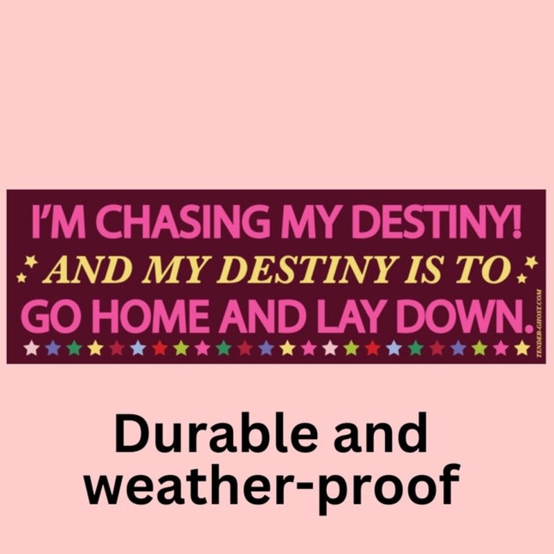 Chasing My Destiny Bumper Sticker