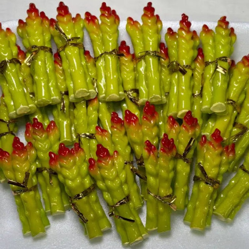 Asparagus Magnet