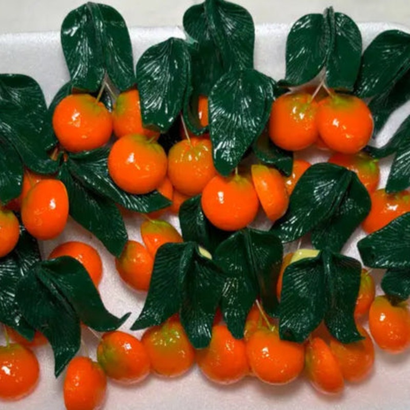 Hanging Oranges Magnet