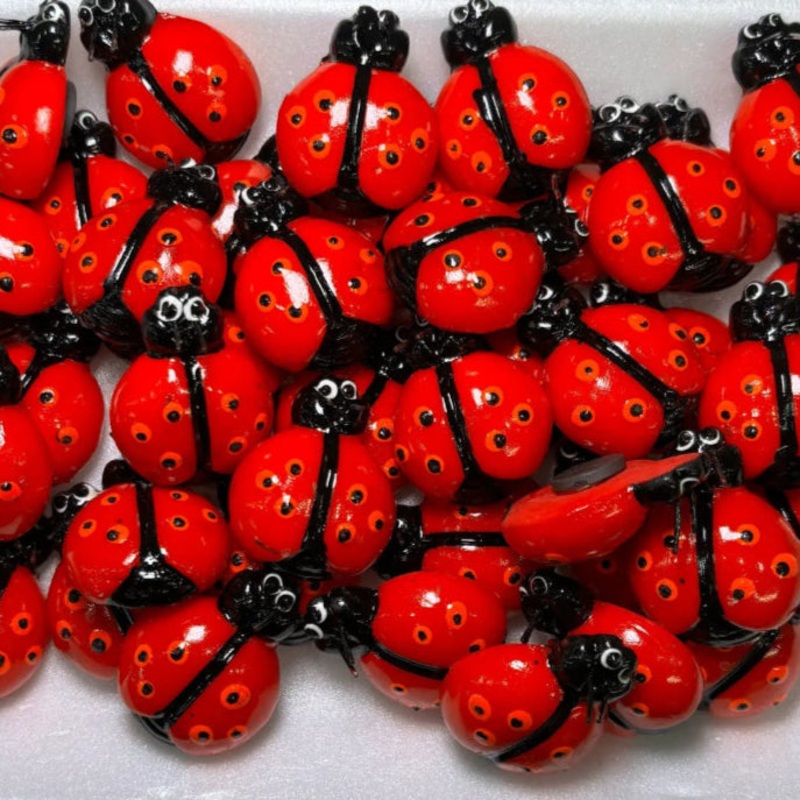 Ladybug Magnet