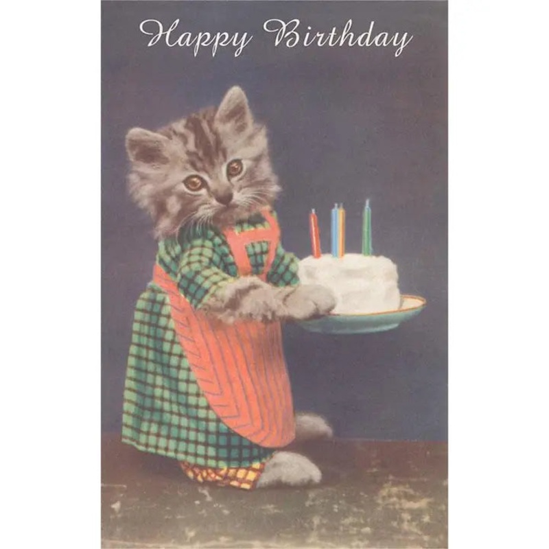Dressed Kitten with Cake Card