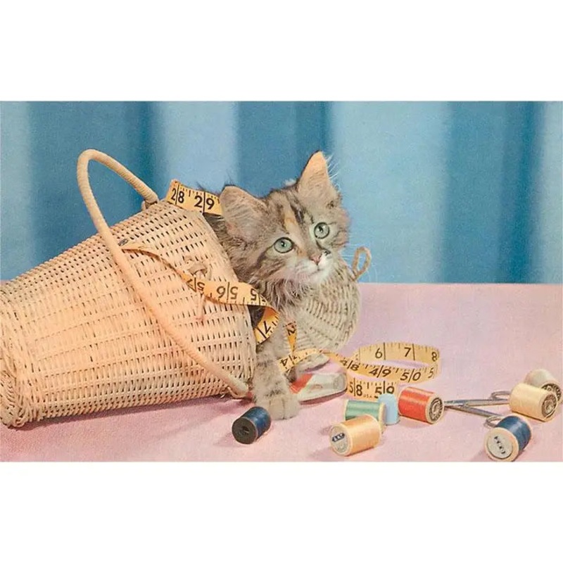 Kitten in Sewing Basket Sticker
