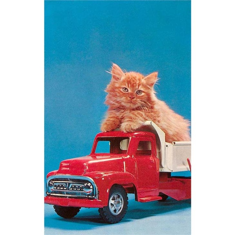Kitten in Toy Truck Card