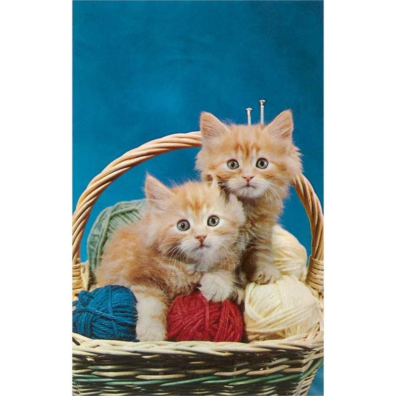 Kittens in Yarn Basket Card