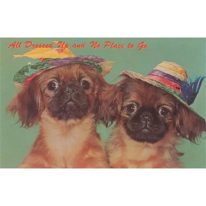 Two Dogs in Hats Card
