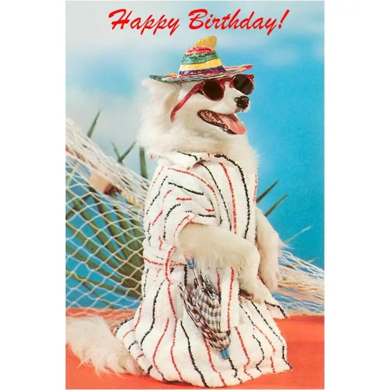 White Dog in Beachwear Card