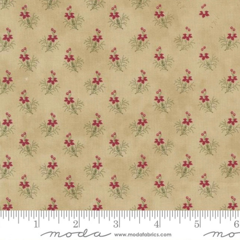 Poinsettia Plaza - Pretty Poinsettia - Parchment