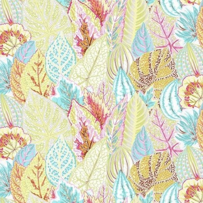 February 2020 - Coleus - Grey