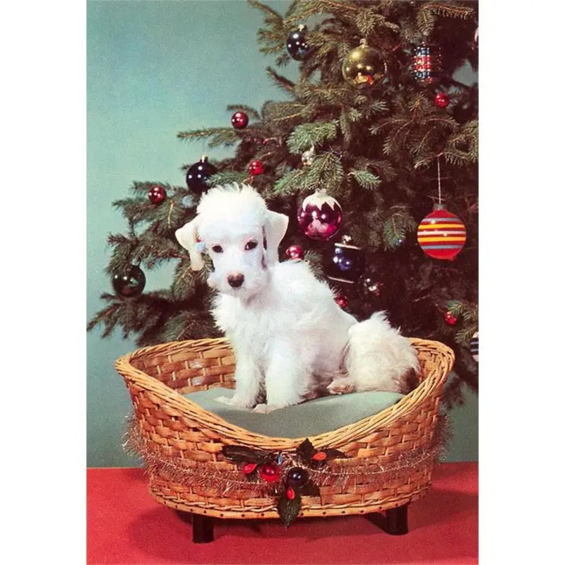 Poodle Puppy by Christmas Tree Card