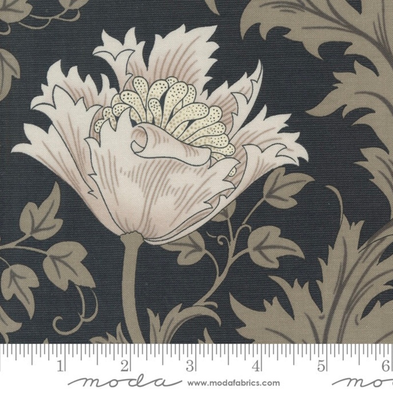 Ebony Suite - Anemone - Ebony