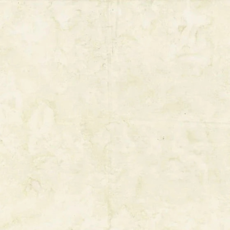 1895 Watercolors - Oyster