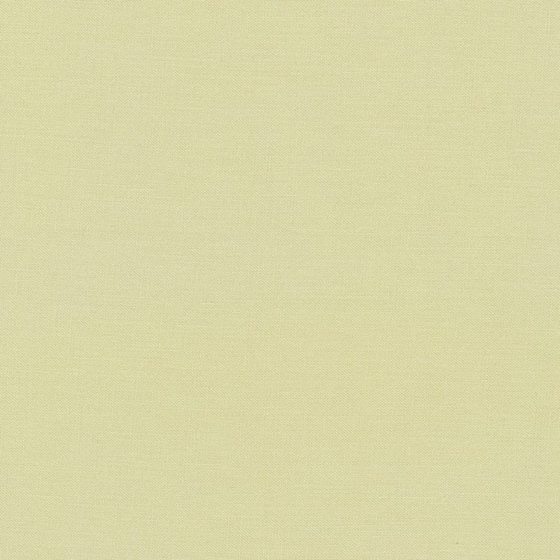 Eucalyptus | Kona Solid | Quilting Cotton