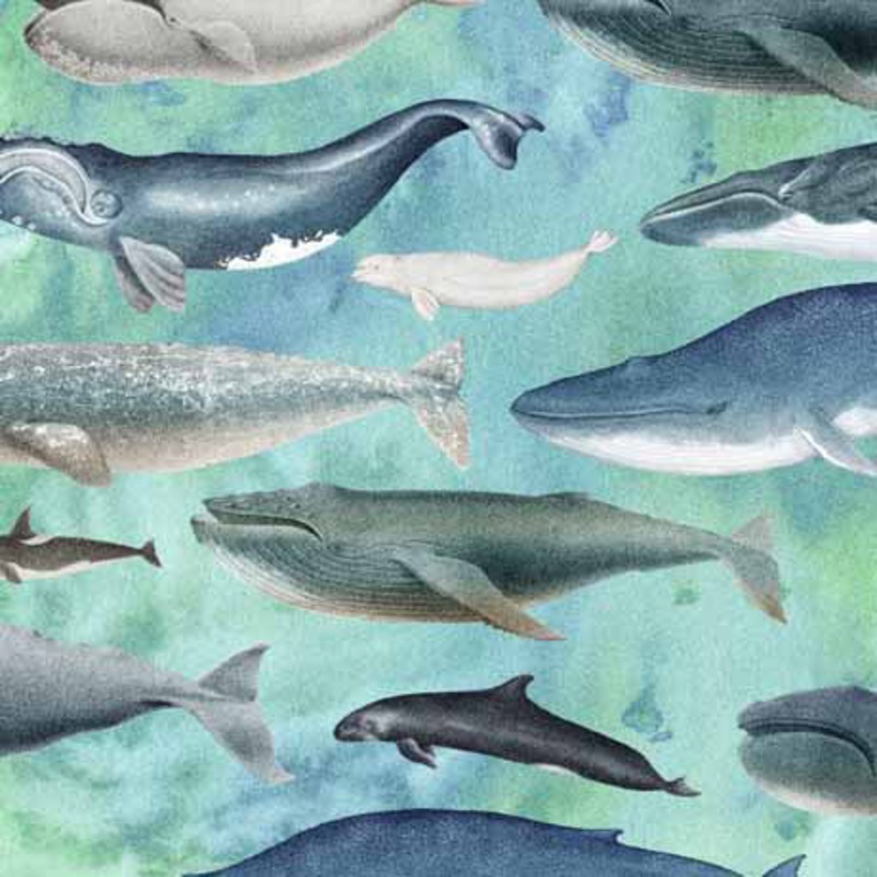 Whales - Teal $12.99/yd-Full Yard & Half Yard & Quarter Yard