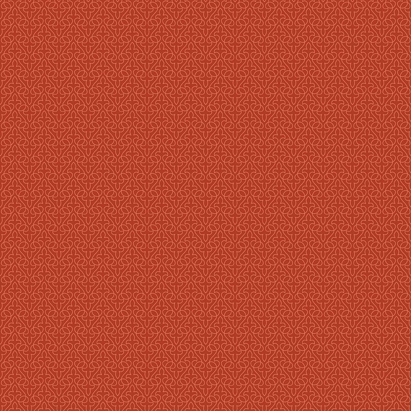 Little Witch: LACE Fabric C14565-PUMPKIN (1/2 yd.)