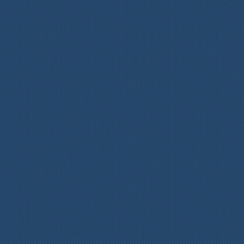 POParazzi NAVY Fabric (1/2 yd.)