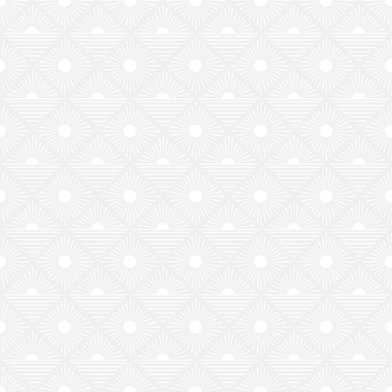 Cotton Pigment Print: RAYS - White on White Fabric (1/2 yd.)