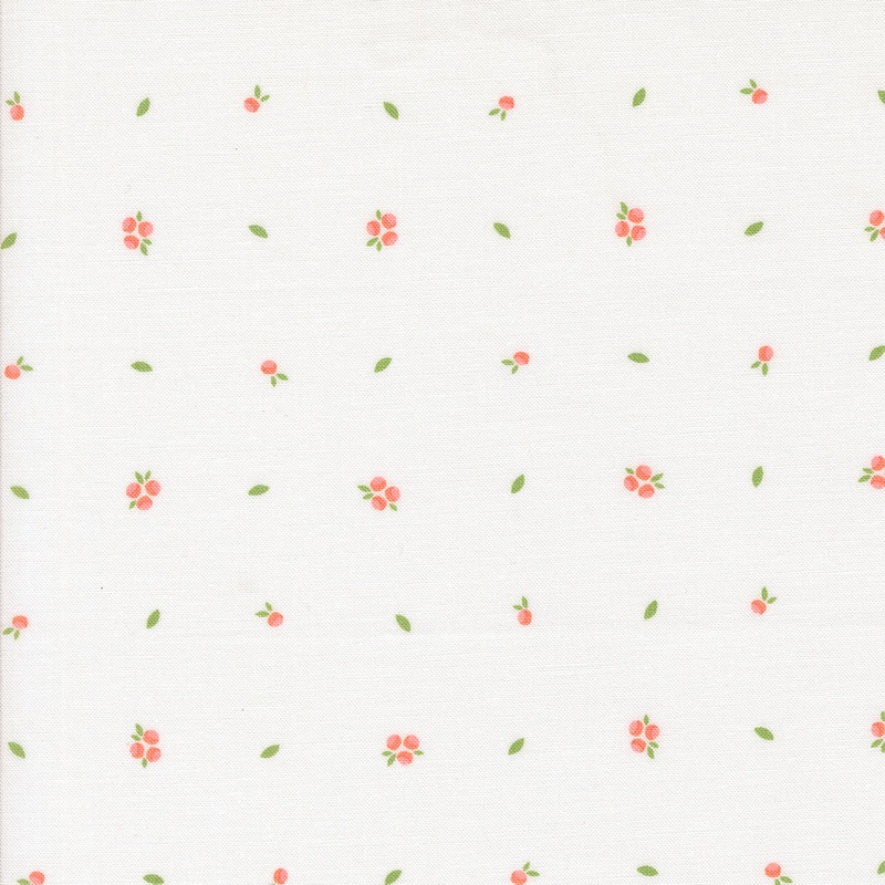 Abloom: CLOUD LITTLE SPROUT Blenders Fabric (1/2 yd) by Corey Yoder