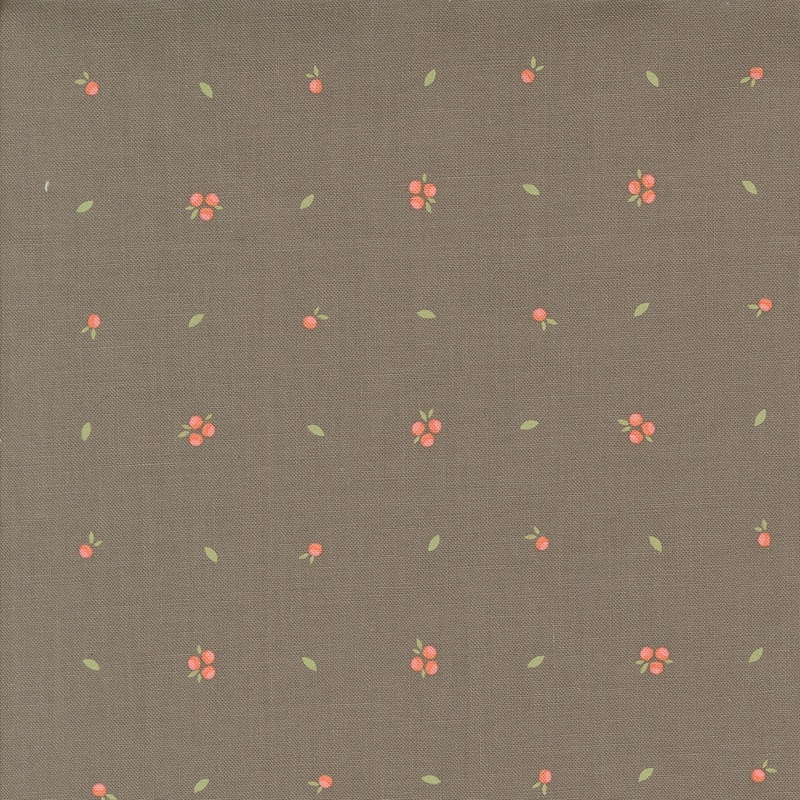 Abloom: SLATE LITTLE SPROUT Blenders Fabric (1/2 yd) by Corey Yoder