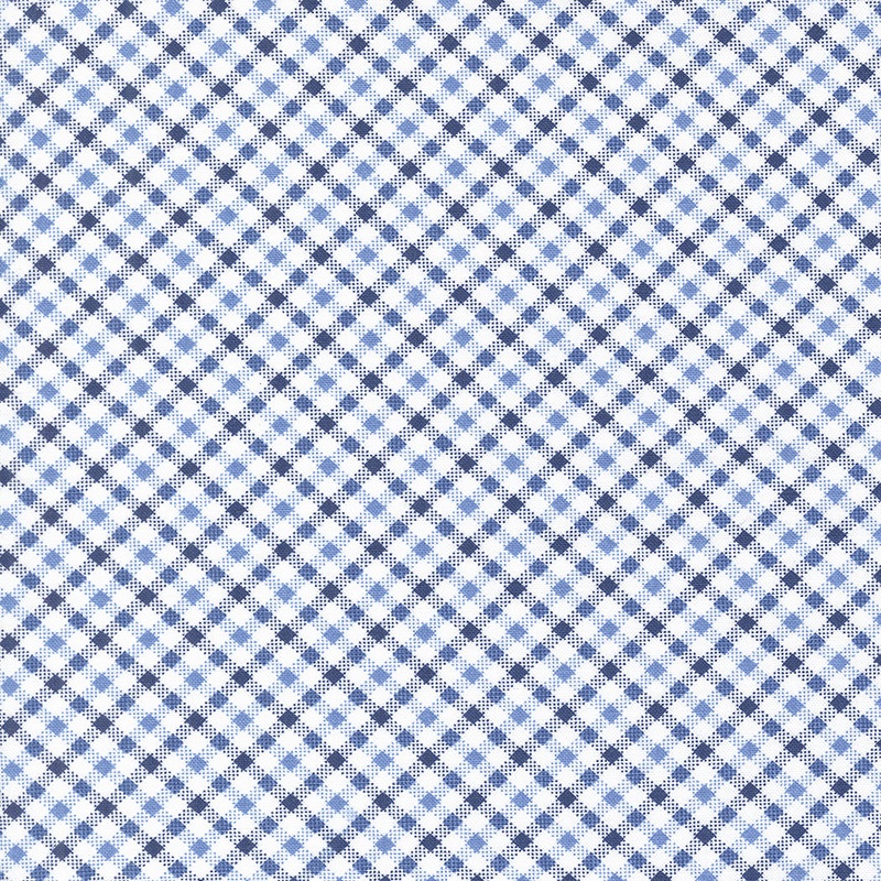 Star Spangled: DAWN SIMPLE CHECK Checks and Plaids Fabric (1/2 yd)