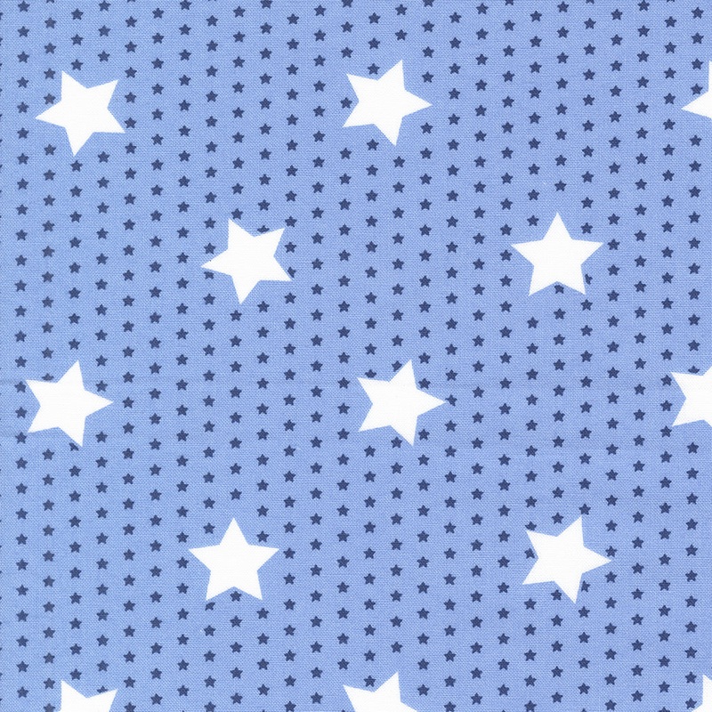 Star Spangled: SHINING SEA SALUTE Stars Americana Stars Fabric (1/2 yd)
