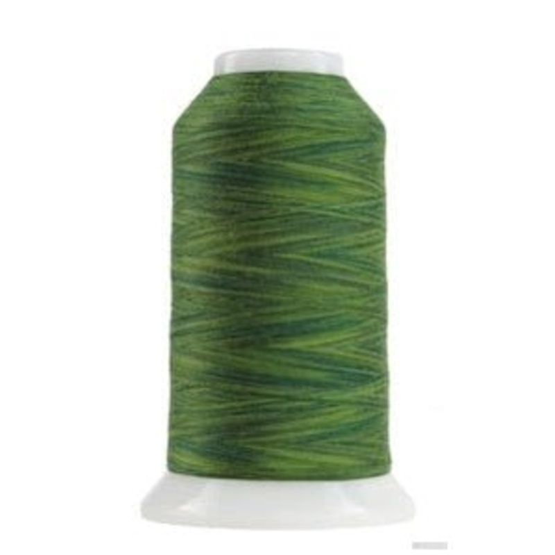 OMNI-V  Variegated 2000 yds #9159 Irish Spring