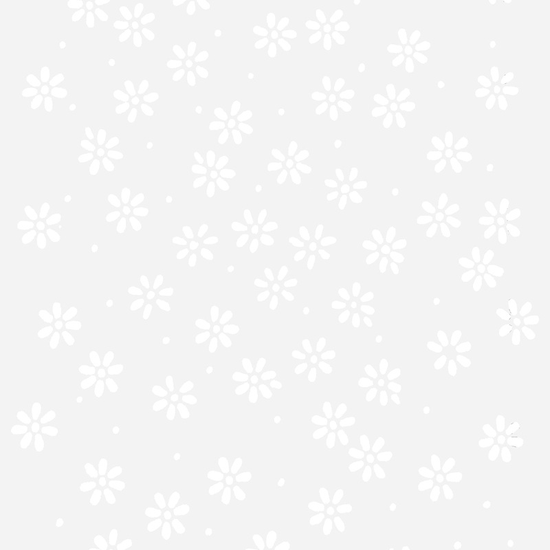 Becolourful Blush: Sparkling White DITZY DAISY Fabric (1/2 yd)