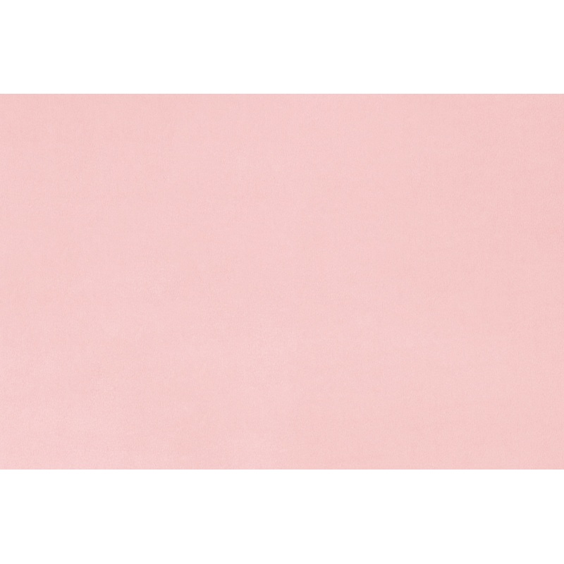 SOLID CUDDLE 3 - Extra Wide Minky: ROSEWATER (1 yd.) by Shannon Fabrics