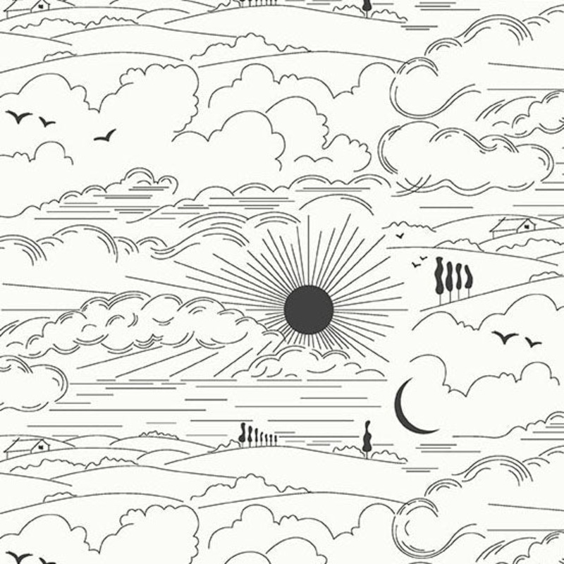 Sun Print Whisper: ZEBRA DWELL Fabric (1/2 yd) by Alison Glass