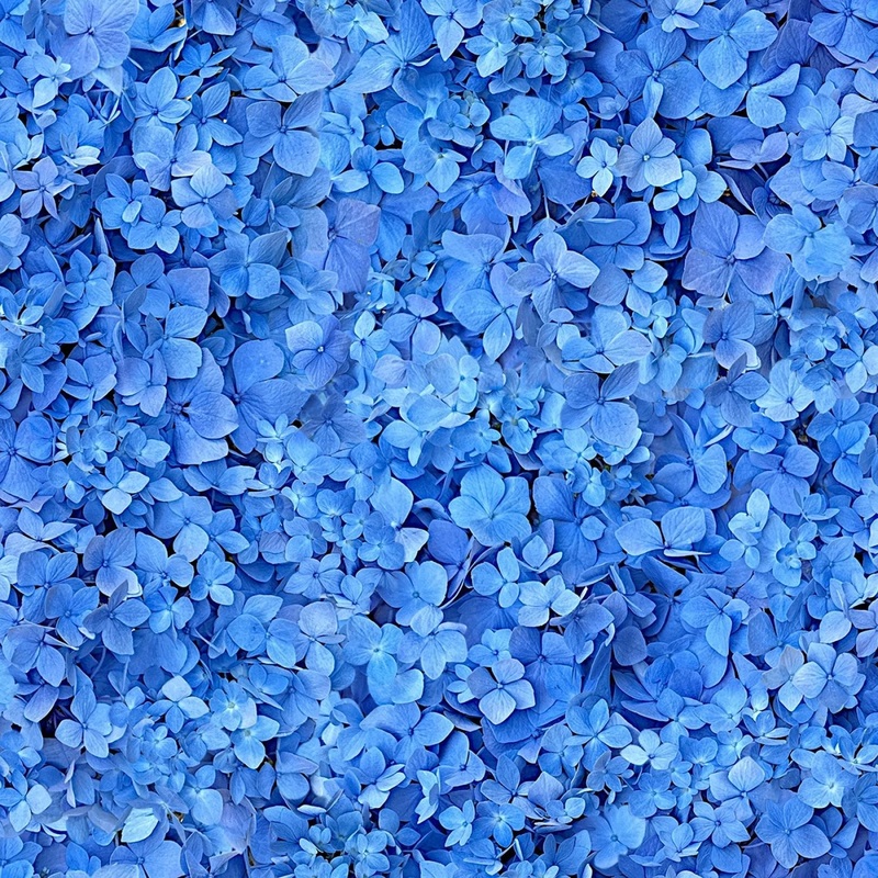 Blue Sea of Dreams 108 Cotton (QB10870M-B) - Sold in UNITS of 1/4 metre