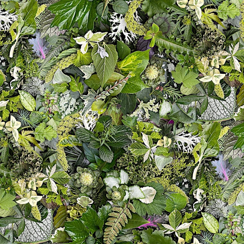 Green Forest Floor 108 Cotton (QB10868M-G) - Sold in UNITS of 1/4 metre