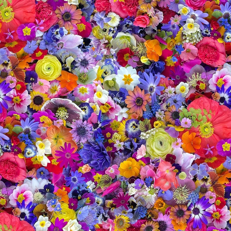 Multi Kaleidoscope 108 Cotton (QB10860M-Z) - Sold in UNITS of 1/4 metre