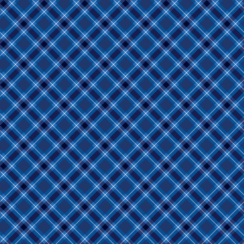 Plaid Navy | 108 Cotton (14944WB-58) - Sold in UNITS of 1/4 metre